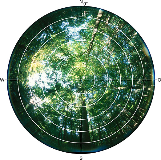 Referenzpunkt Wald A, Fisheye Foto