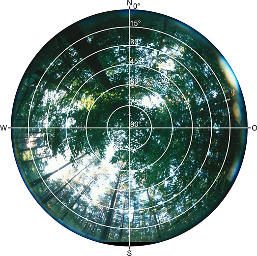 Referenzpunkt Wald D, Fisheye Foto